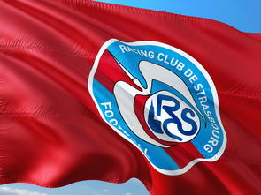 aoa体育体育app-帕尔梅拉斯全力备战世俱杯，冲击冠军信心十足