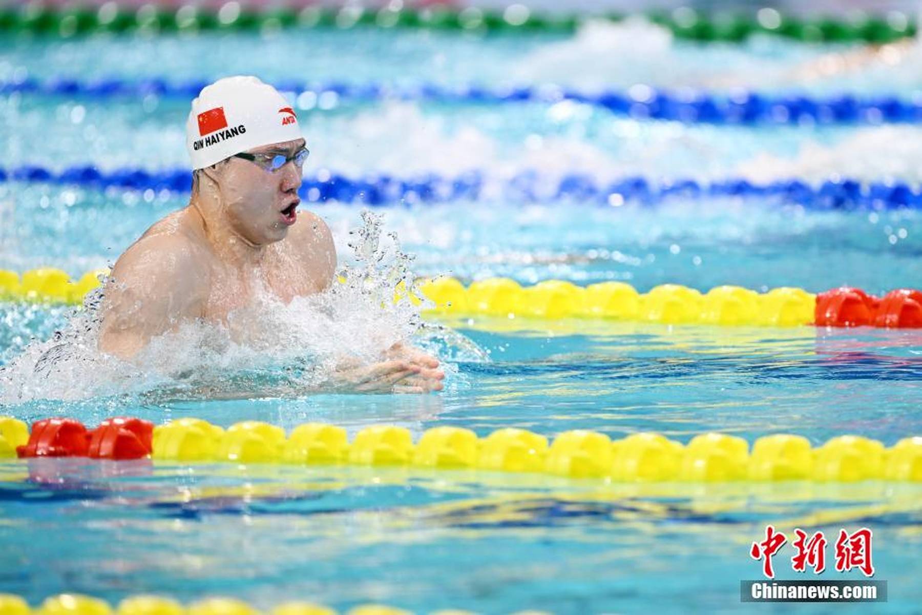 游泳冠军实力碾压,金牌在望的简单介绍 游泳冠军实力碾压,金牌在望的简单介绍